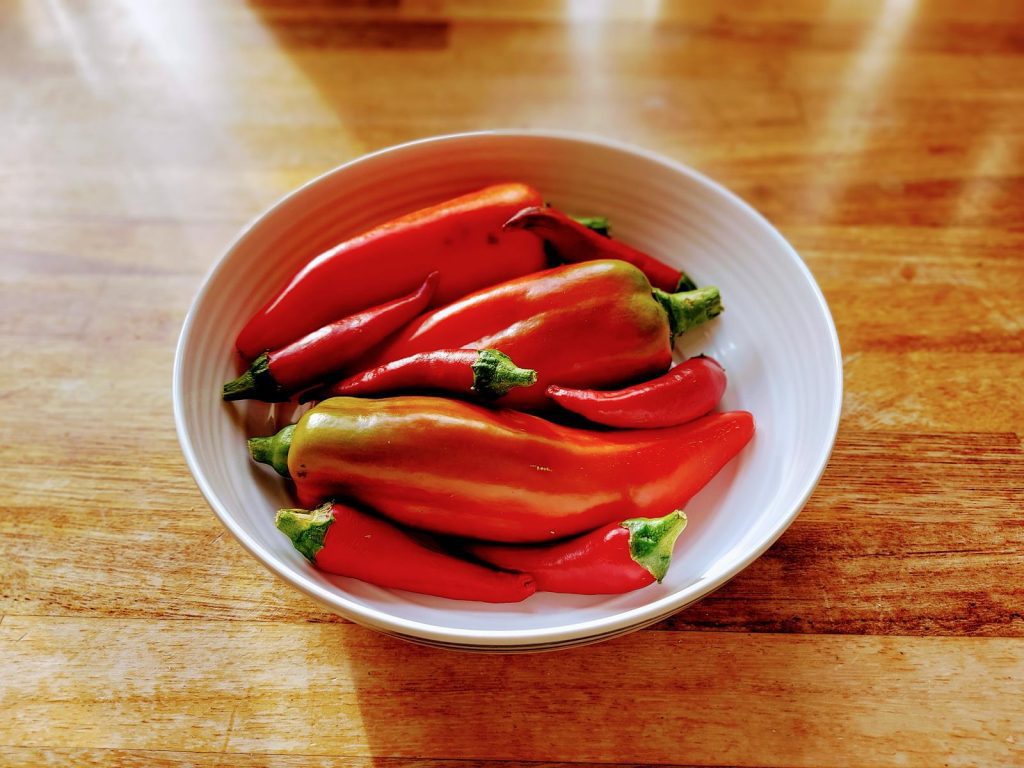 red chillis and peppers in a white dish